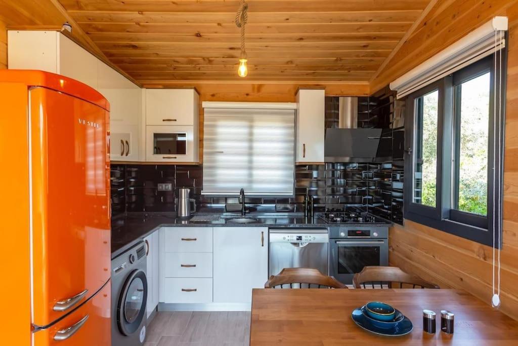 Villa Zeytin Havuzlu Jakuzili Fethiye Extérieur photo